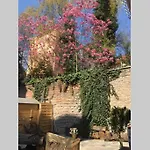 Beautiful Backyard Remise Apartment