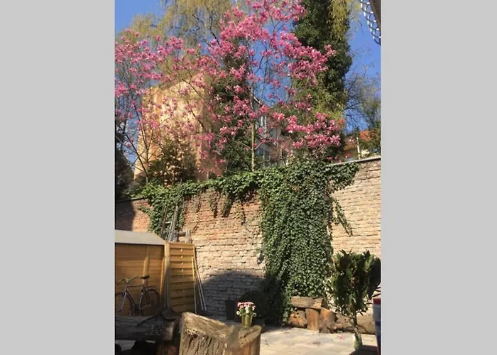 Beautiful Backyard Remise 公寓