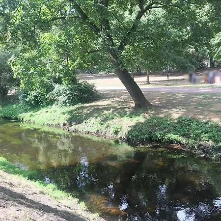 Beautiful Backyard Remise Berlin